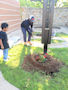 OLG Beautification Day - 03