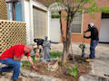 OLG Beautification Day - 50