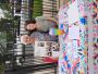 Ministry Fair - 001